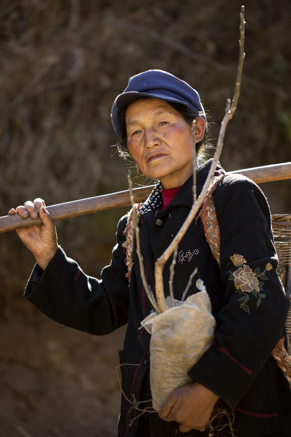 planter des arbres en chine - gifts for change