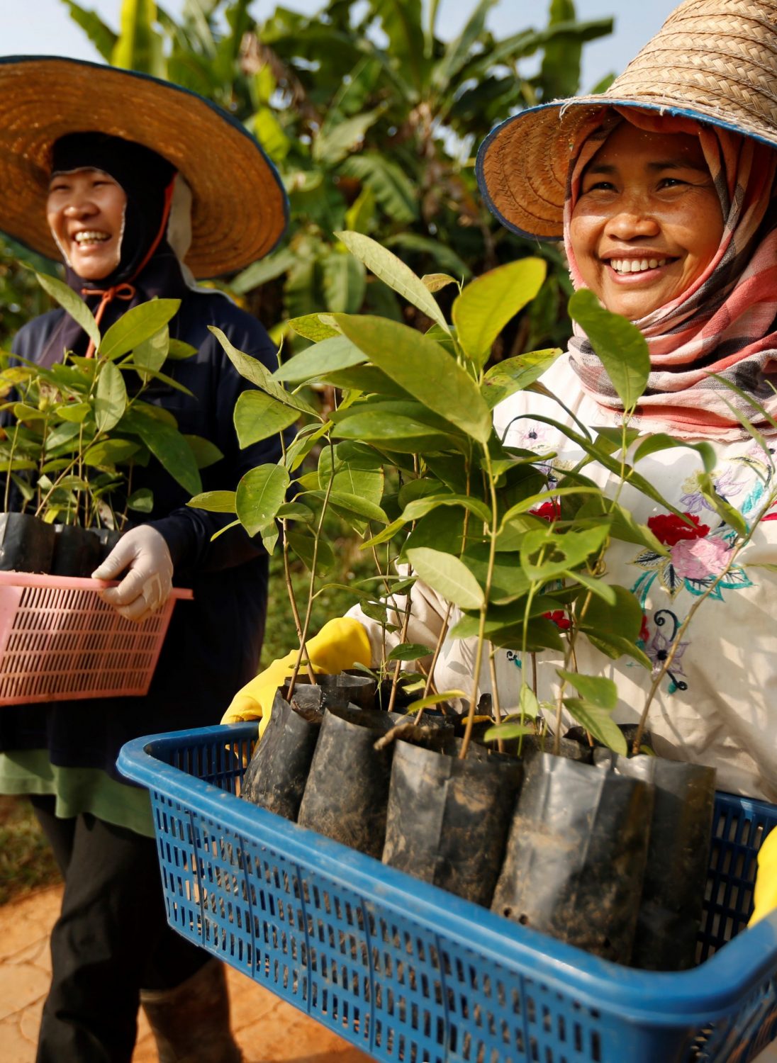 Dhamma Rakhsa THAILANDE - Gifts for Change