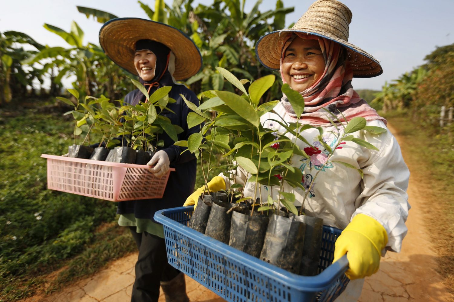 DhammaRakhsaTHAILANDE