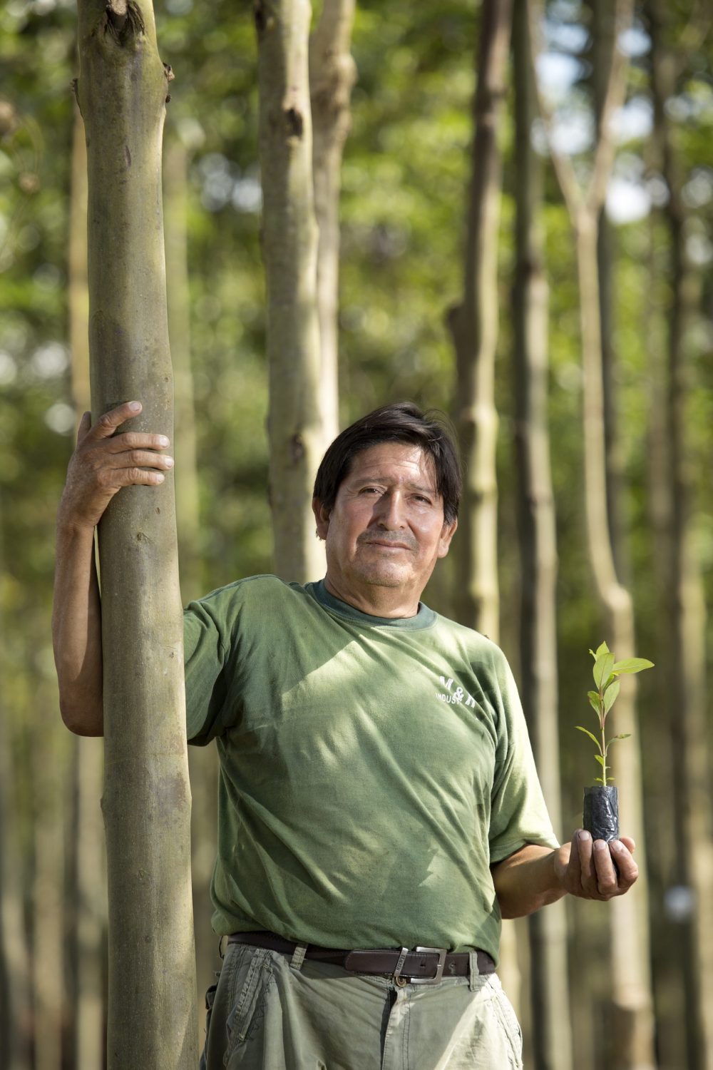 Reforestation pur projet