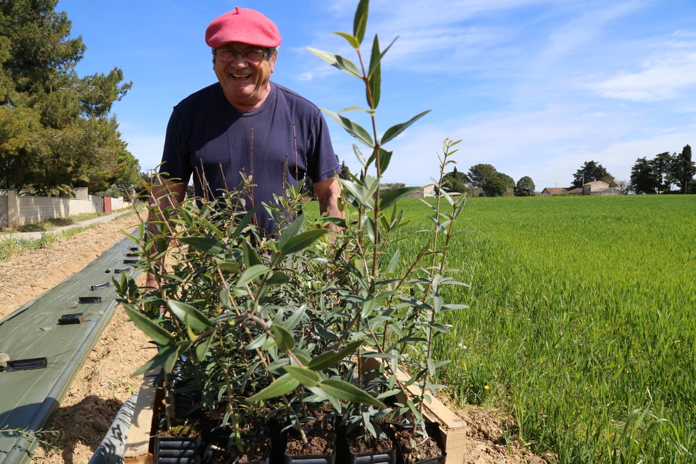 Reforestation - Gifts for Change agriculteur saaltus