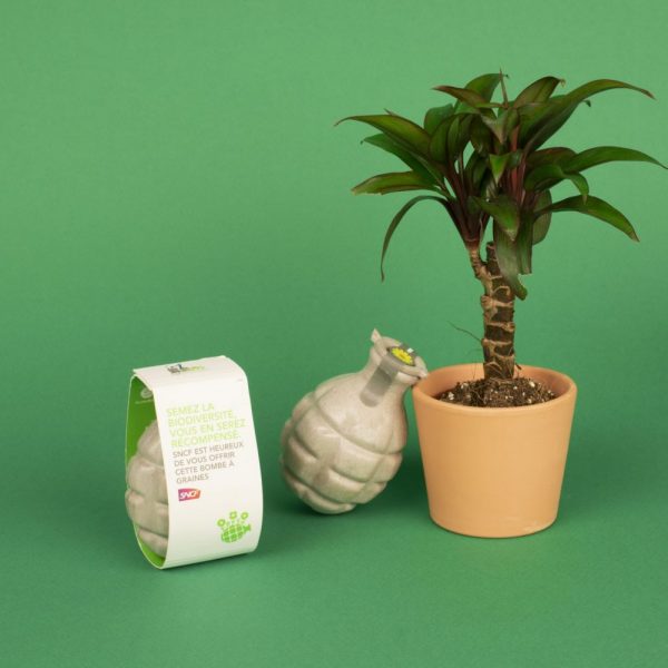 Bombe à graines personnalisable