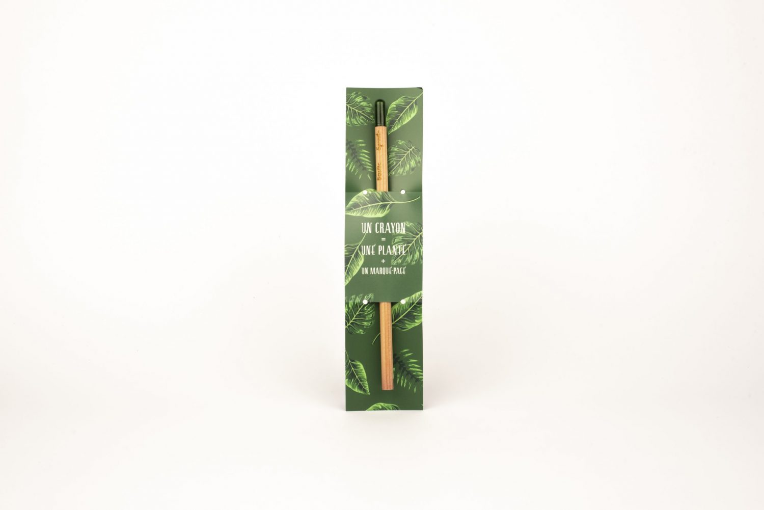 Crayon à faire germer