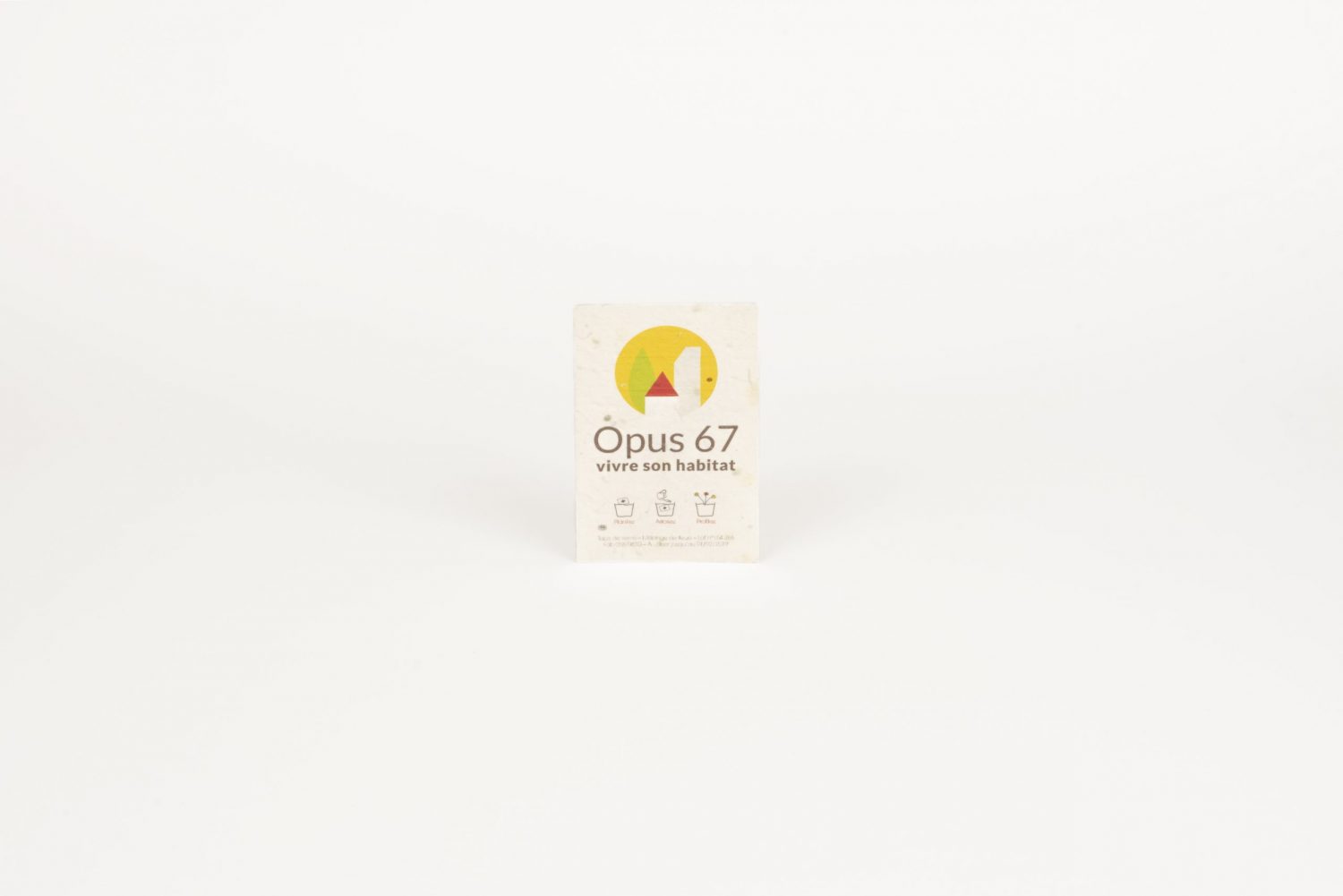 Carte de visite à faire germer