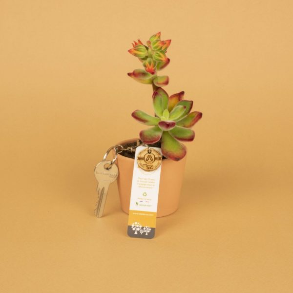 Jeton de caddie écolo personnalisable