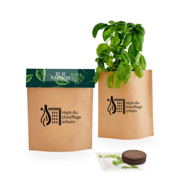 Kit de plantation kraft
