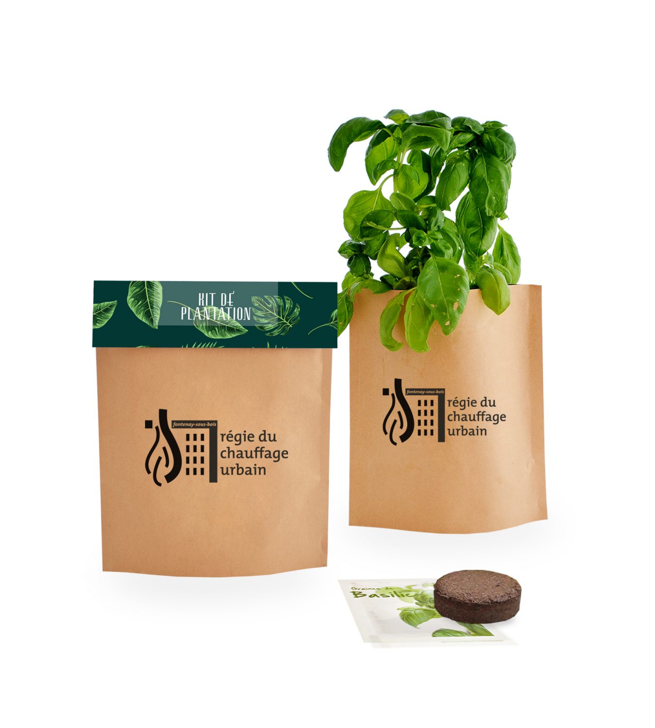 Kit de plantation kraft