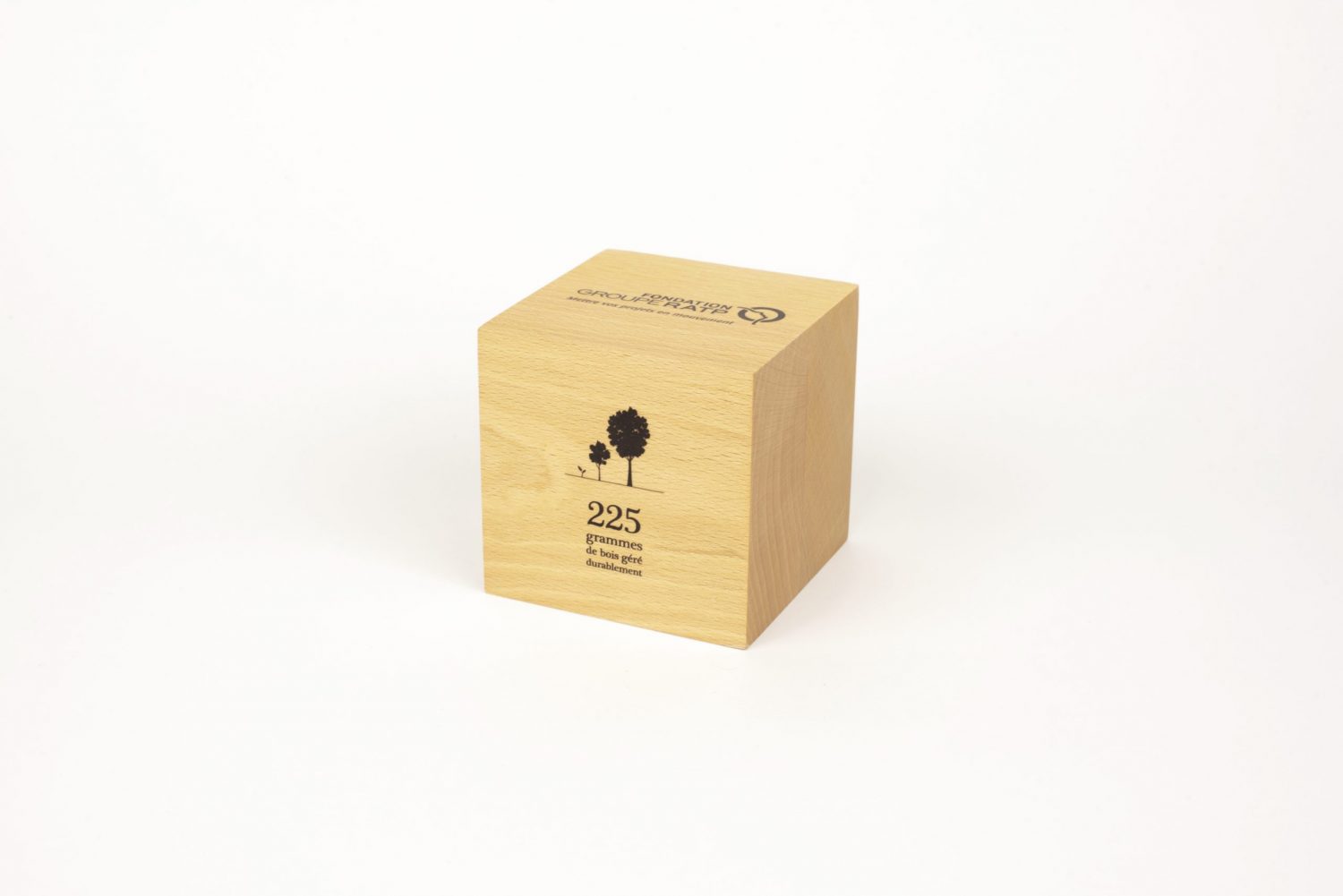 Presse Papier en bois massif