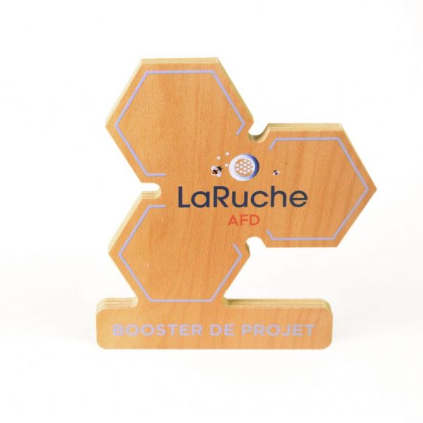 Trophée en bois alvéole