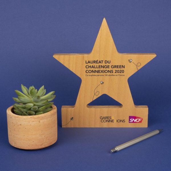 Trophée en bois étoile personnalisable