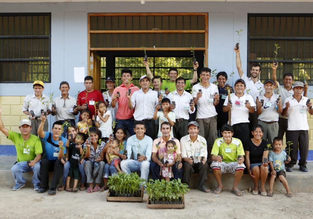 Reforestation pur projet