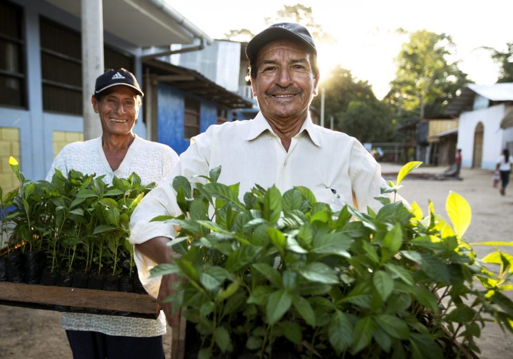 Reforestation pur projet