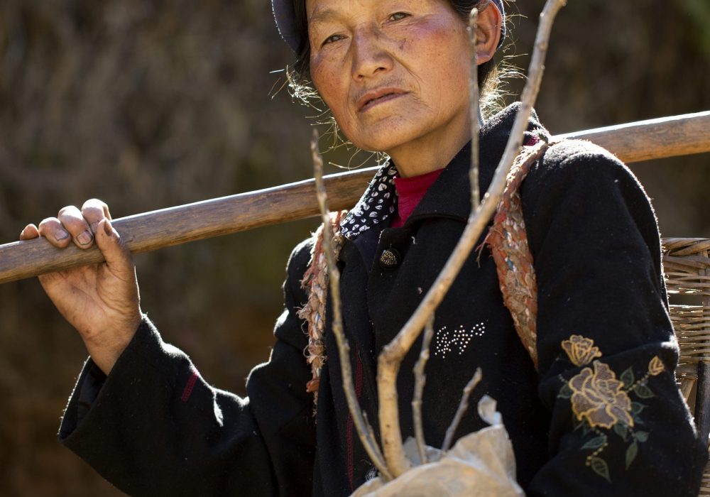 planter des arbres en chine - gifts for change