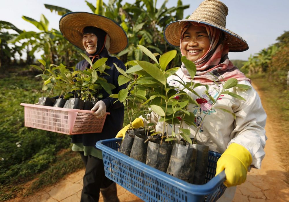 DhammaRakhsaTHAILANDE