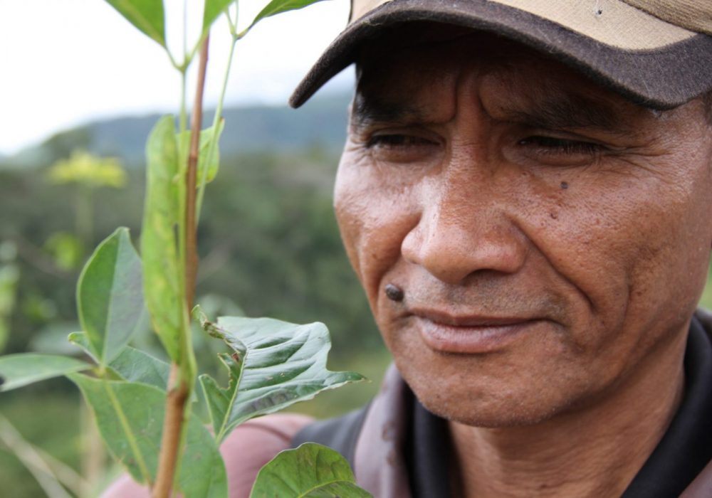 Reforestation - Nordesta partenaire de Gifts for Change