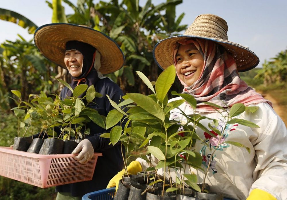 Jeunes femmes changent le monde