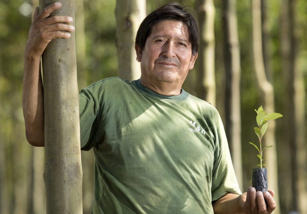 Reforestation pur projet