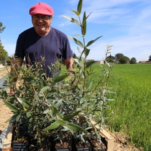 Reforestation - Gifts for Change agriculteur saaltus